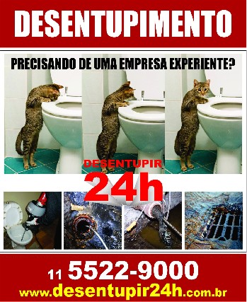 Desentupimento de esgoto 11 5522-9000